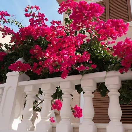 Apartment Paraiso